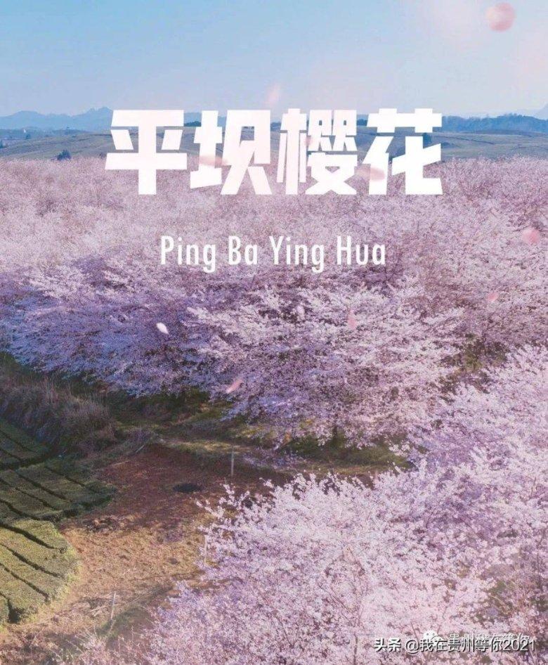 展现东莞文艺新风采！非凡“村晚”，欢庆幸福中国年